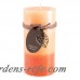 August Grove Tangerine Fir Scented Pillar Candle DEIC2085